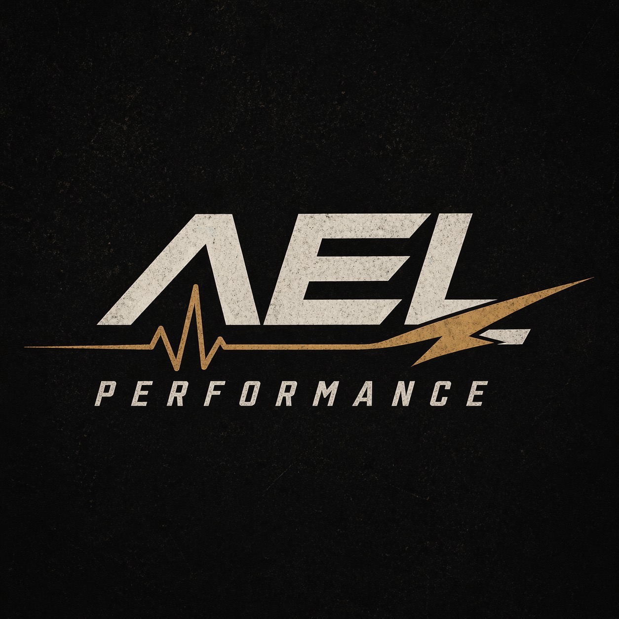 AEL Performance logo